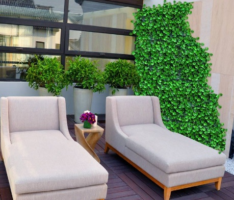 中医传承人——记无药诊所创始人董才金