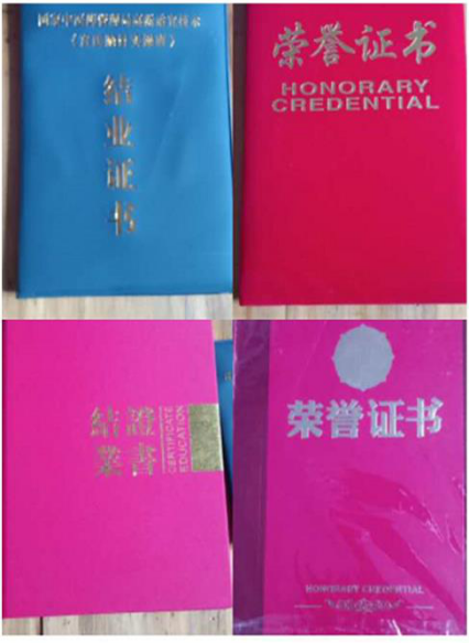 百年祖传治骨传人-阳衡清