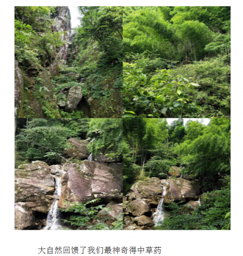 中医传承人刘帅-中药炮制治肿瘤缓解病人痛苦