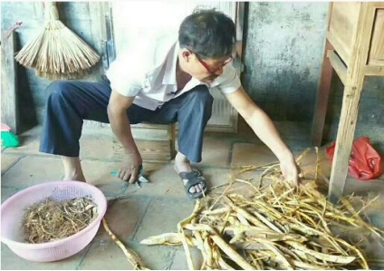 中草药良方治愈肝病-间医师杨雄树