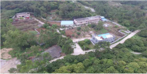 中华药酒岭南药酒“松龄春”