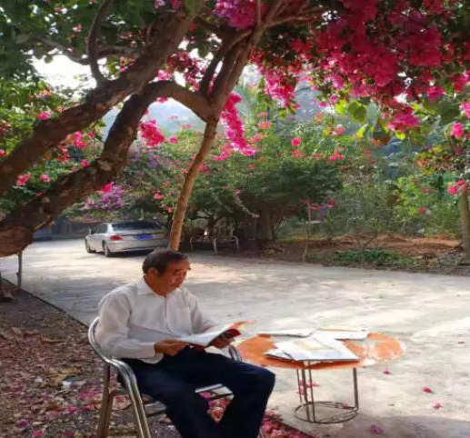 中华药酒岭南药酒“松龄春”
