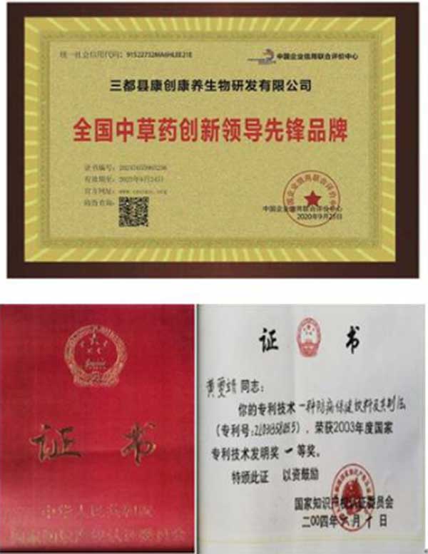 中国医学专家—— 黄力力