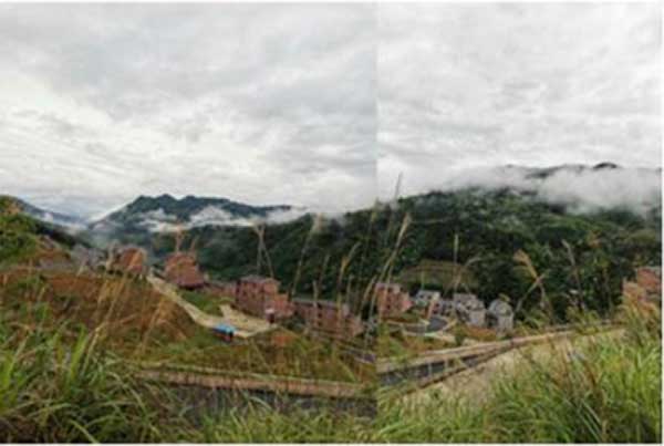 中国医学专家—— 黄力力