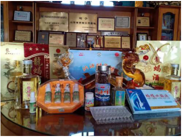 中国具影响力人物 —— 全蝎疗法发明人孙纯孝