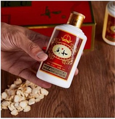 文武双全大中医 — 史一真