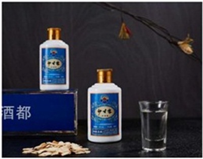 文武双全大中医 — 史一真