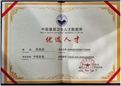 文武双全大中医 — 史一真