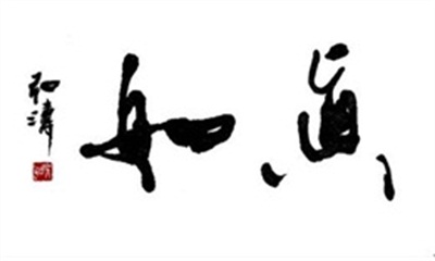 文武双全大中医 — 史一真