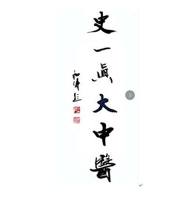 文武双全大中医 — 史一真