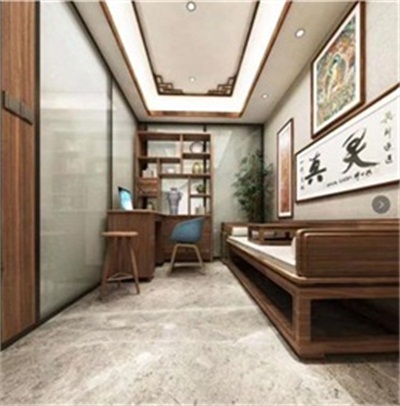 文武双全大中医 — 史一真