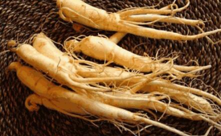 老骥伏枥 泽惠苍生 — 名中医肖云