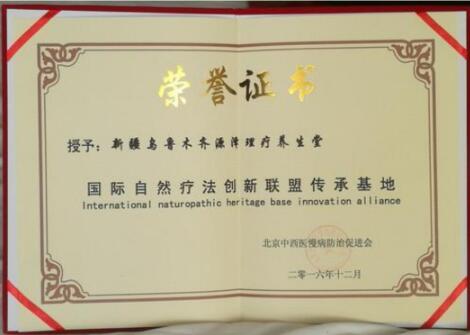 提博气诊疗法传承人——马源泽