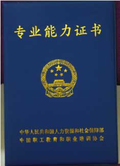 国医名师——程萍