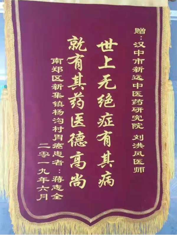 国医名师——刘洪凤