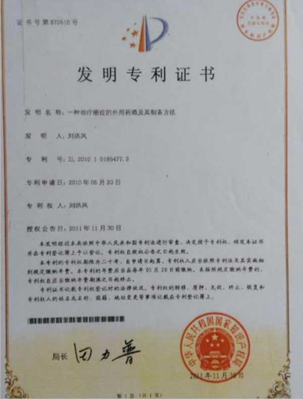 国医名师——刘洪凤