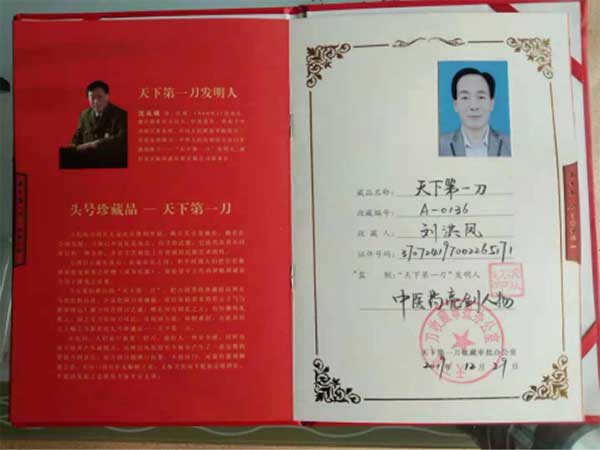 国医名师——刘洪凤