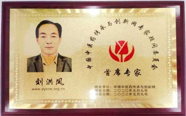 国医名师——刘洪凤