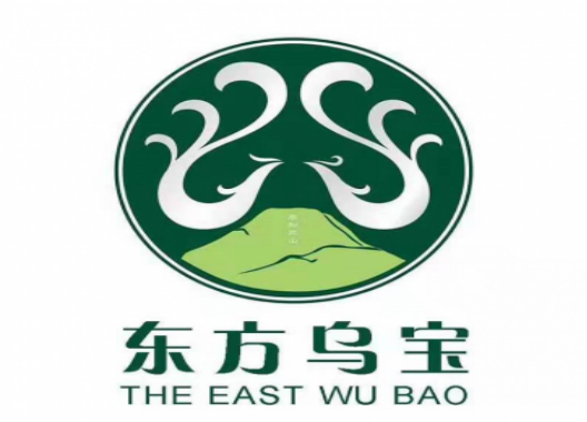 世界生命健康领域的5G一一东方乌宝(图3)