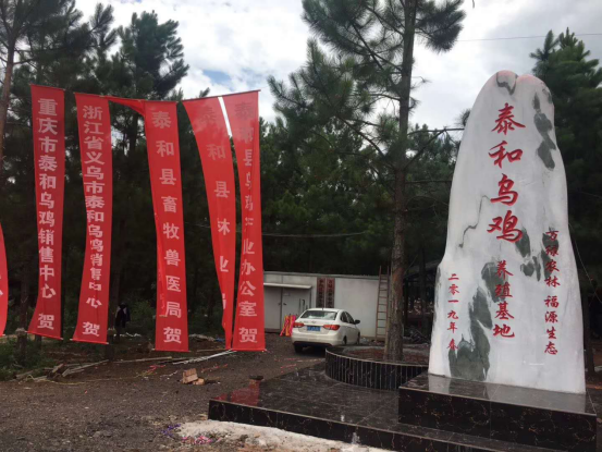 世界生命健康领域的5G一一东方乌宝(图4)