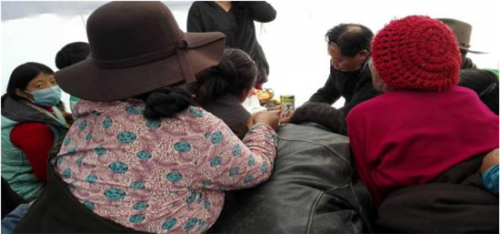 中国名家数据库人物——舒伟