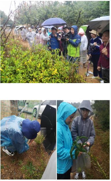 连氏中医第十一代传承人——连正福