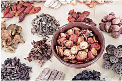 中医传承人 —— 马纪成