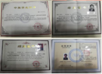 中国中医领路人 —— 郭泳杉 妙手回春   手到病除