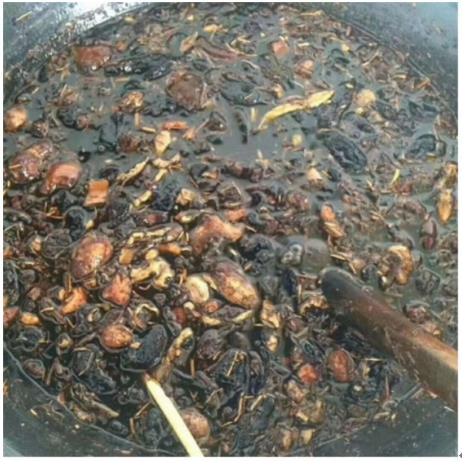 光明天使 济世良医  聊城德医堂头痛病研究所——崔金金医师