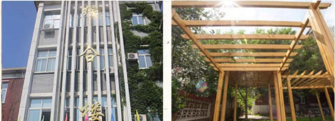 中医 中药 刺针 艾灸传统医学传播者张怀月教授