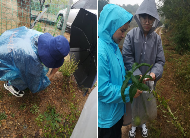 中医国粹人物——治疗急慢性肾小球肾炎、慢性肾功能衰竭等疾病 连正福医师
