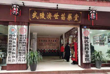 弘扬国粹施仁术 融汇古今铸医魂——“苗医药二十四脉诊”非遗传人杨贵兴