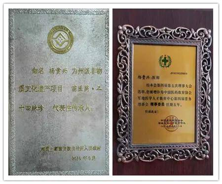 弘扬国粹施仁术 融汇古今铸医魂——“苗医药二十四脉诊”非遗传人杨贵兴