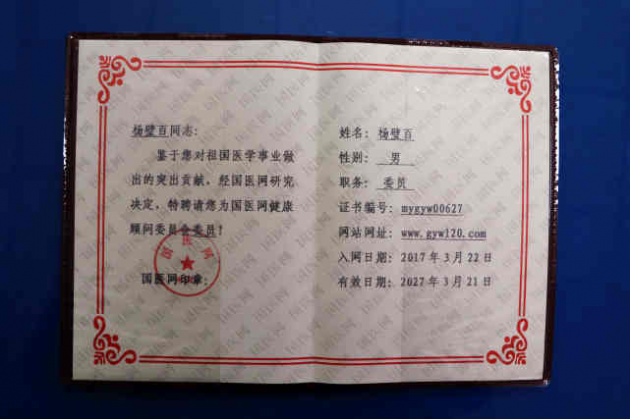 中医国粹人物--治疗风湿骨病权威专家杨璧百