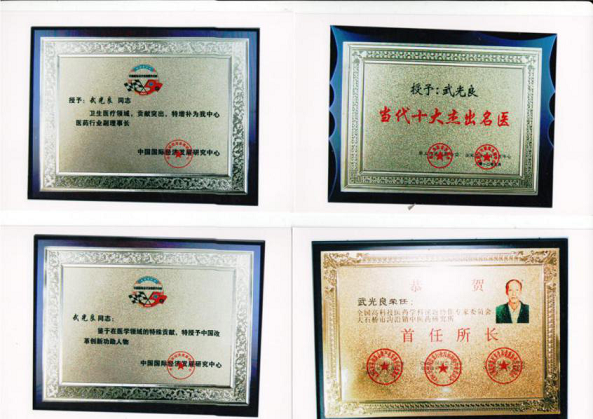 中国医药领路人——武光良