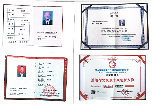 中国医药领路人——武光良