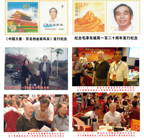 松龄春”研发人陈征