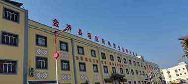 中国中医药领路人 —— 蒙义德