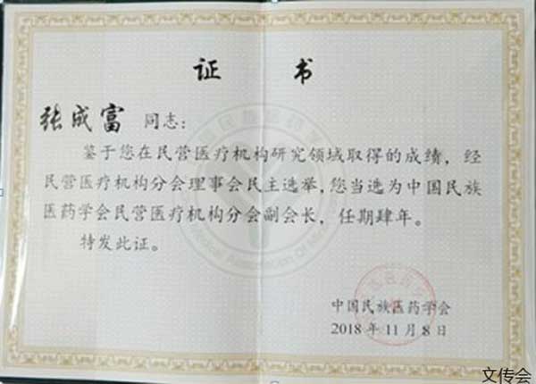 大医精诚 悬壶济世 武汉仁乐中医研究所所长张成富