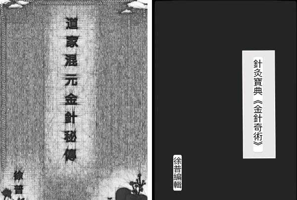 中国医药领路人  针灸奇术  医救万千 徐普大师