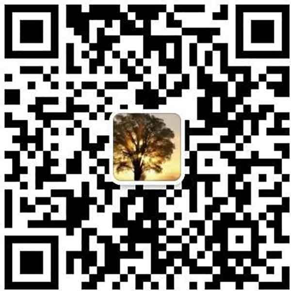 中国医药领路人——崔彻柱