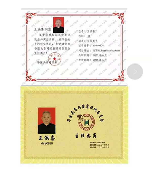 中国医药领路人——王洪喜