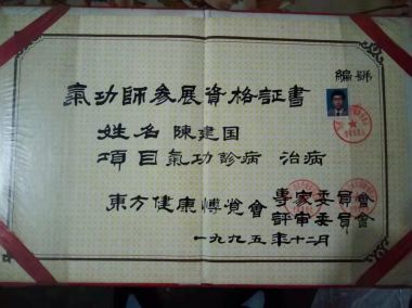 喜迎全国两会·医路前行 慈心大爱中医气功抗癌先锋——陈若峰