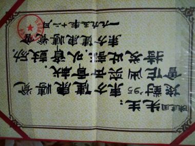 喜迎全国两会·医路前行 慈心大爱中医气功抗癌先锋——陈若峰