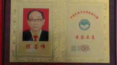 喜迎全国两会·医路前行 慈心大爱中医气功抗癌先锋——陈若峰