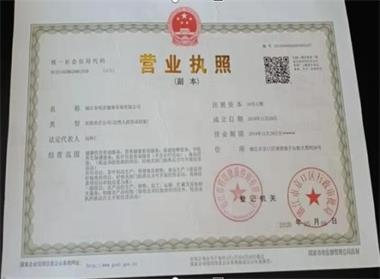 刘氏明洋茯苓木瓜营养素——刘得仁