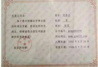 德艺双馨 大医精诚 中医<武>治天下--刘春江