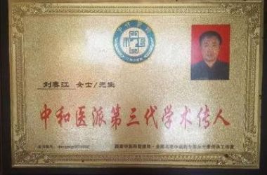 德艺双馨 大医精诚 中医<武>治天下--刘春江