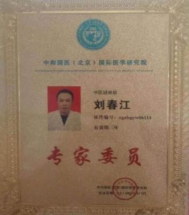 德艺双馨 大医精诚 中医<武>治天下--刘春江